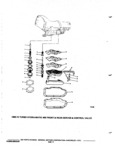 Previous Page - Chassis and Body Parts Catalog P&A 72TL May 1979