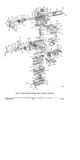 Previous Page - Parts Illustration Catalog P&A 11A July 1975