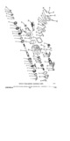 Previous Page - Parts Illustration Catalog P&A 11A July 1975